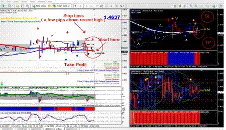 AFX Trader Trading System