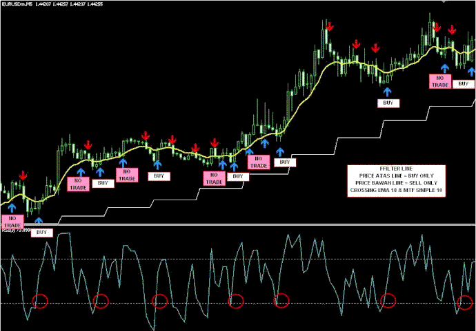 Sedinho Scalper