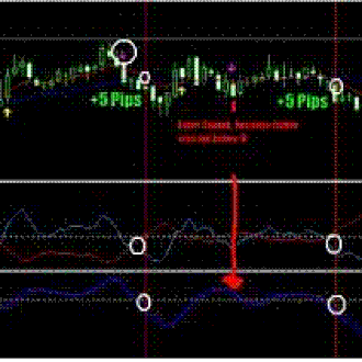 Thrall Scalping