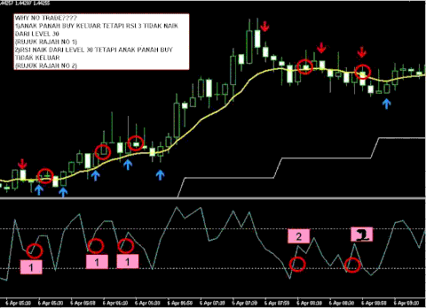 Sedinho Scalper