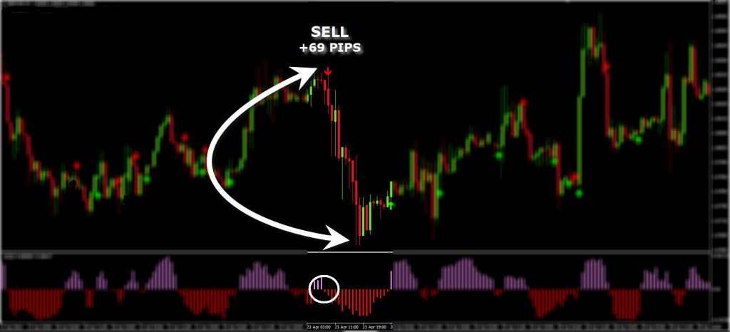 Elastic Trader PRO Indicator Cost $199 download