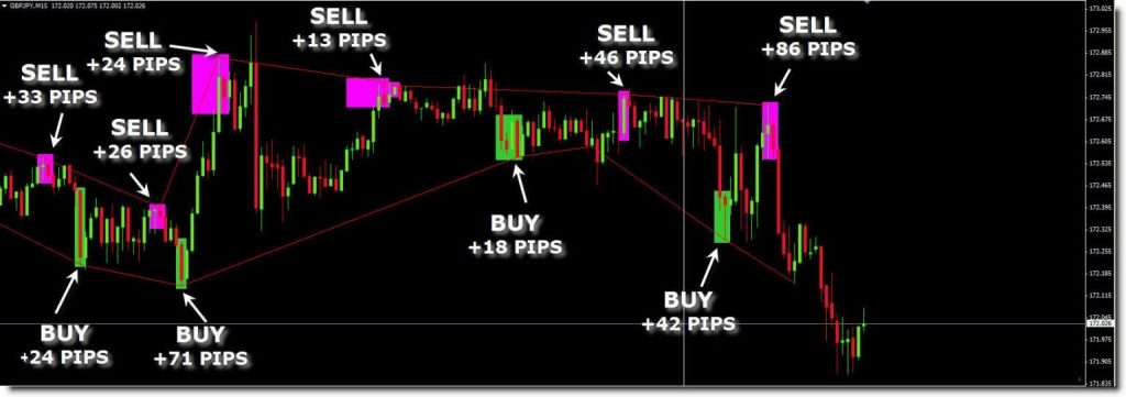 Elastic Trader PRO Indicator Cost $199 download