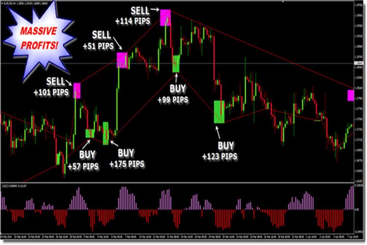 Elastic Trader PRO Indicator Cost $199 download