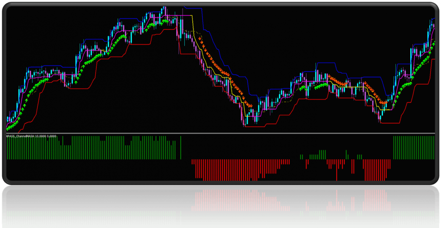 Forex PASS and 100 Pips No Repaint Scalping Indicator
