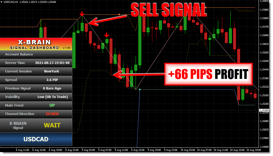 Trend Trading System - The X-Brain Method Forex System