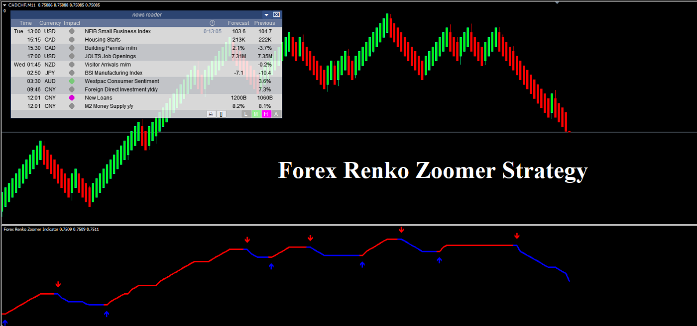 Forex Renko Zoomer-Strategie