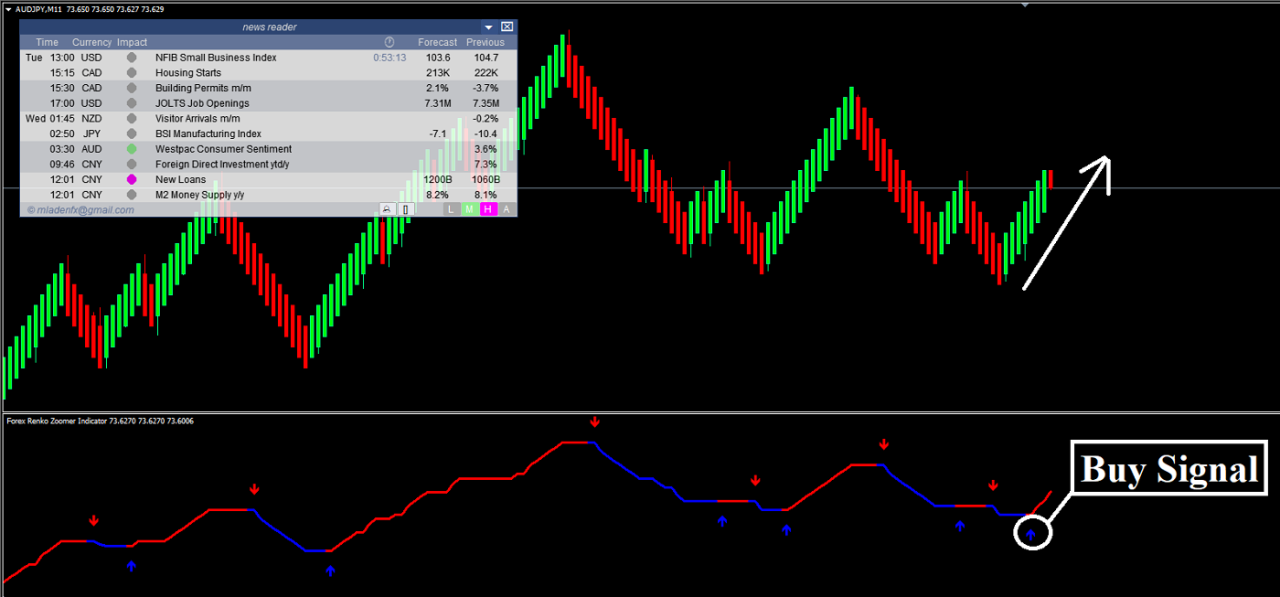 Stratégie Renko Zoomer sur le Forex