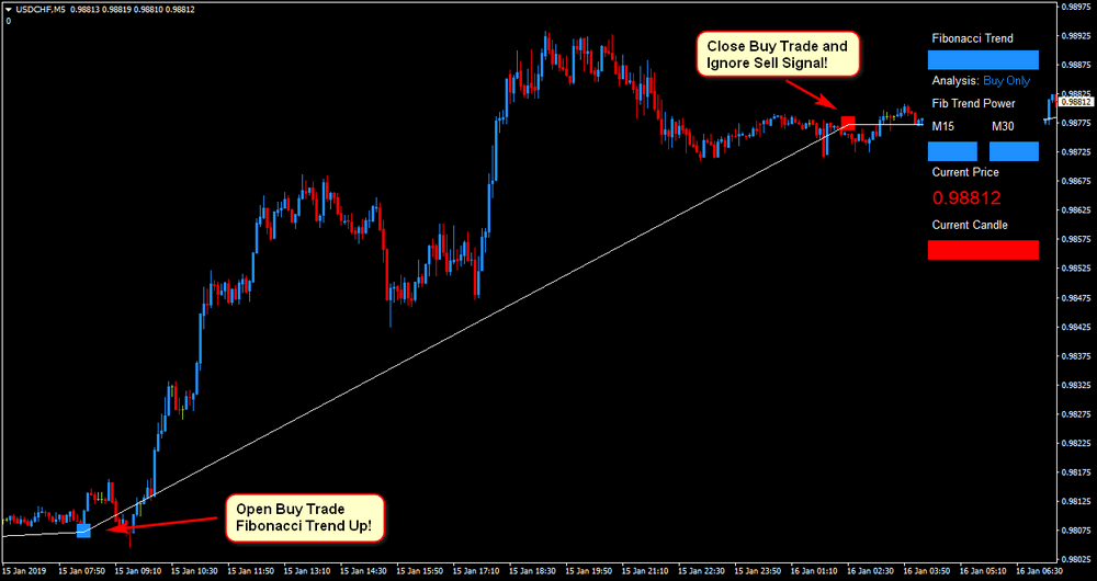 1 Minute Scalping-Anzeige