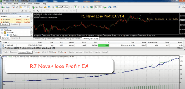 RJ-Never-lose-Profit-EA-1