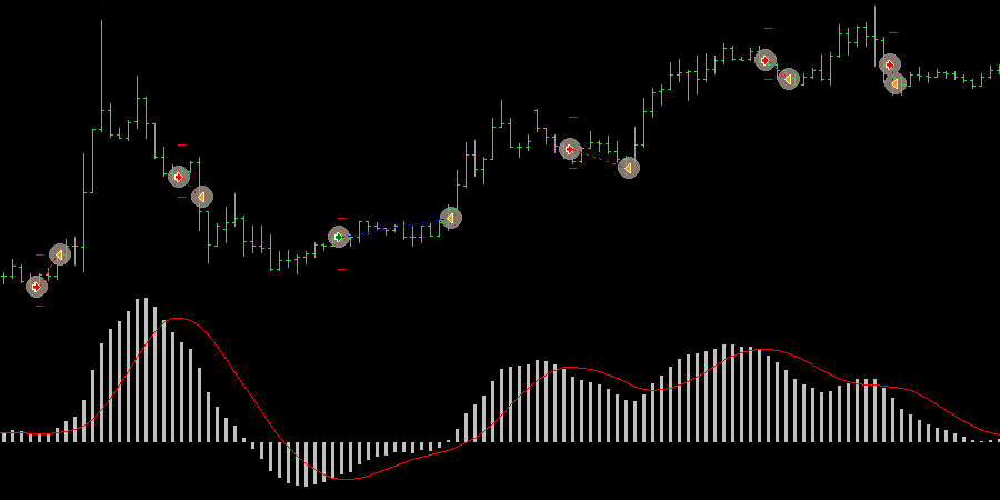 asesor-experto-macd