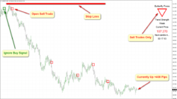 SCHMETTERLING FOREX MT4