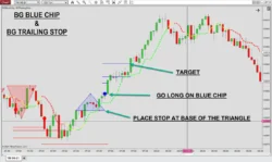 BSG Blue Chip Indikator NinjaTrader 8