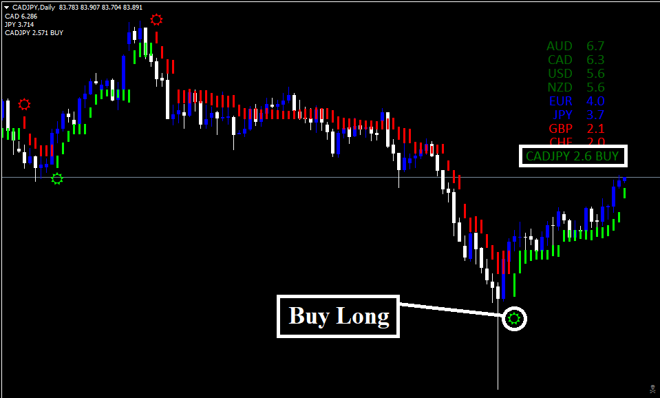Estrategia Forex Polynom Vision