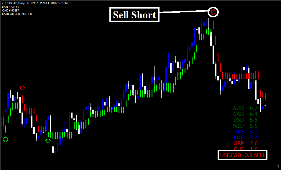 Estrategia Forex Polynom Vision