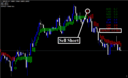 Estrategia Forex Polynom Vision