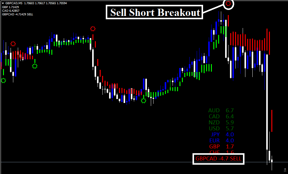 Estrategia Forex Polynom Vision