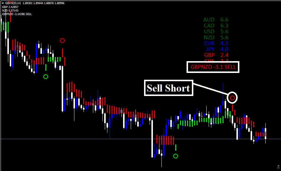Estrategia Forex Polynom Vision