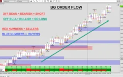 BSG Order Flow Foot Print Indikator NinjaTrader 8