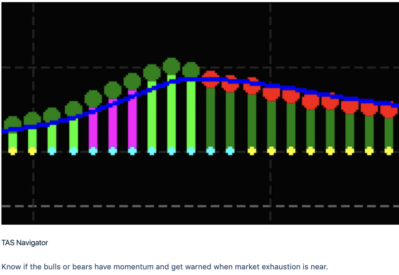 TAS Market Profile package for NT8