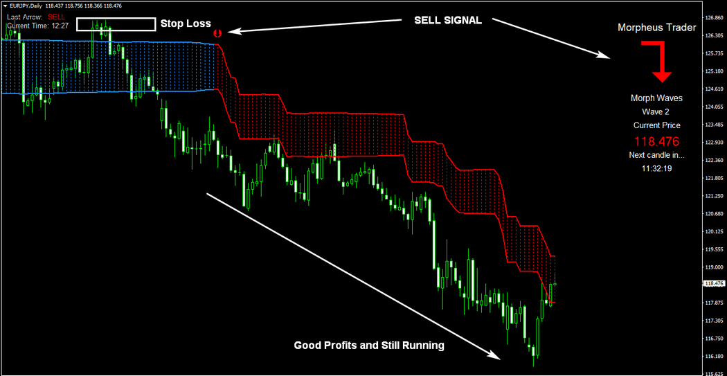 MORPHEUS SIGNAL TRADER