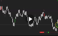 Liberty Trading Club Sakasa Indicator NT8