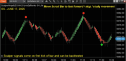 Scalper Software NT8