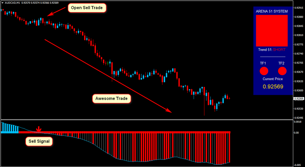 AUDCADM1 アリーナ51FXシステム