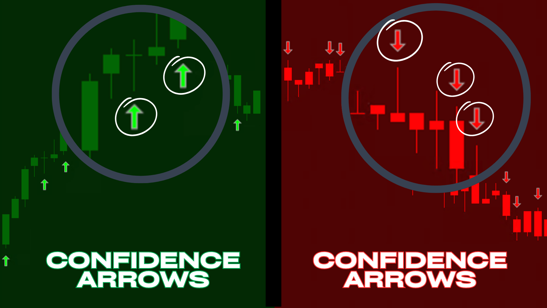 Maverick Indicators NT8