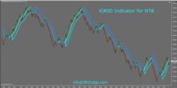 Indicatore iGRID v2.0 per NT8 - AGGIORNATO