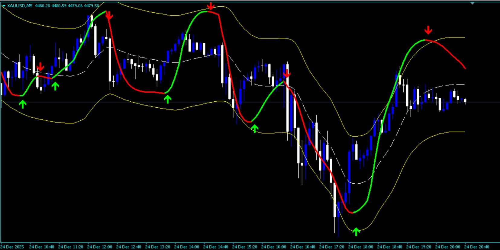 Facteur de poids Forex ExFit