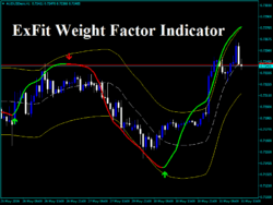 Factor de peso Forex ExFit