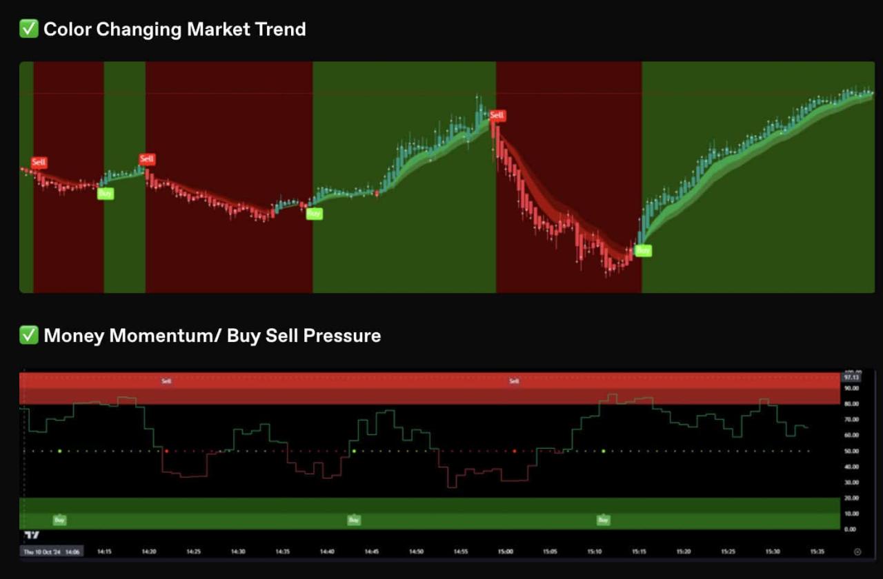 SMM Take Profit Trader para NT8 + SMM Dots