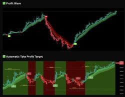 SMM Take Profit Trader for NT8 + SMM Dots