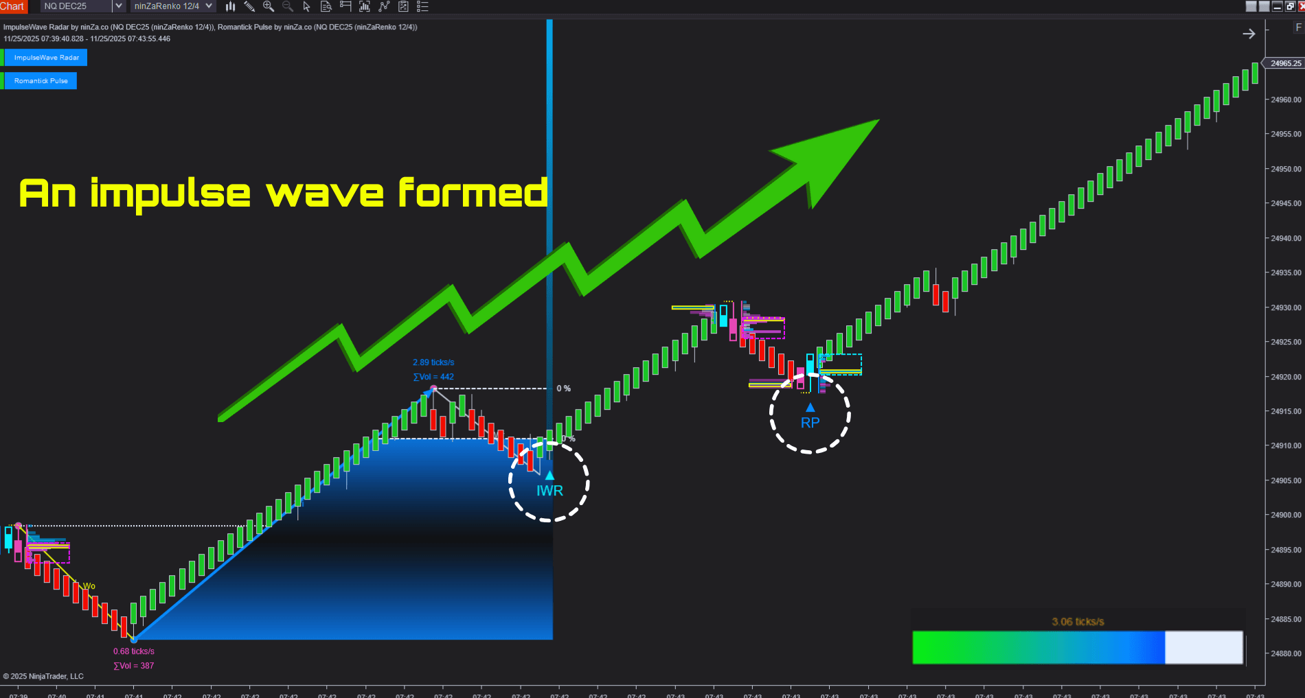 Elliott Wave Theory NT8