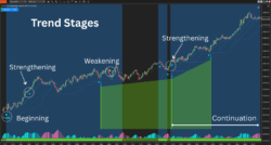 Momentum Strategy NT8