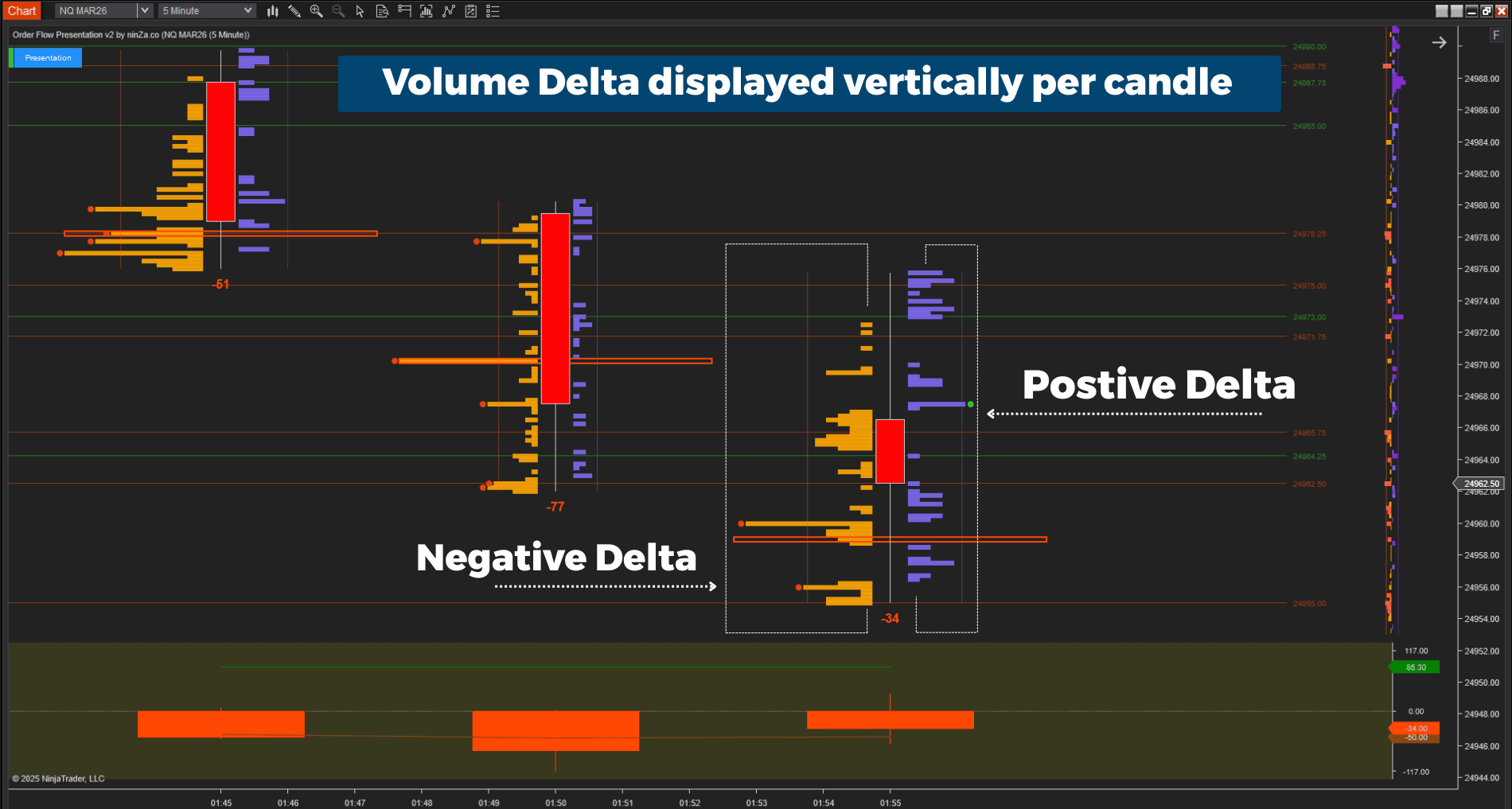 Order Flow Presentation v2 NT8