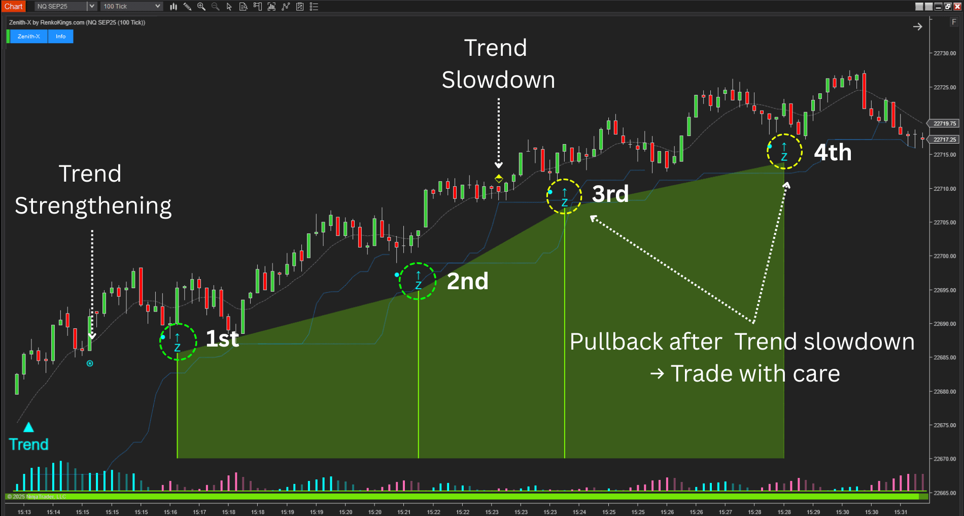 Momentum Strategy NT8
