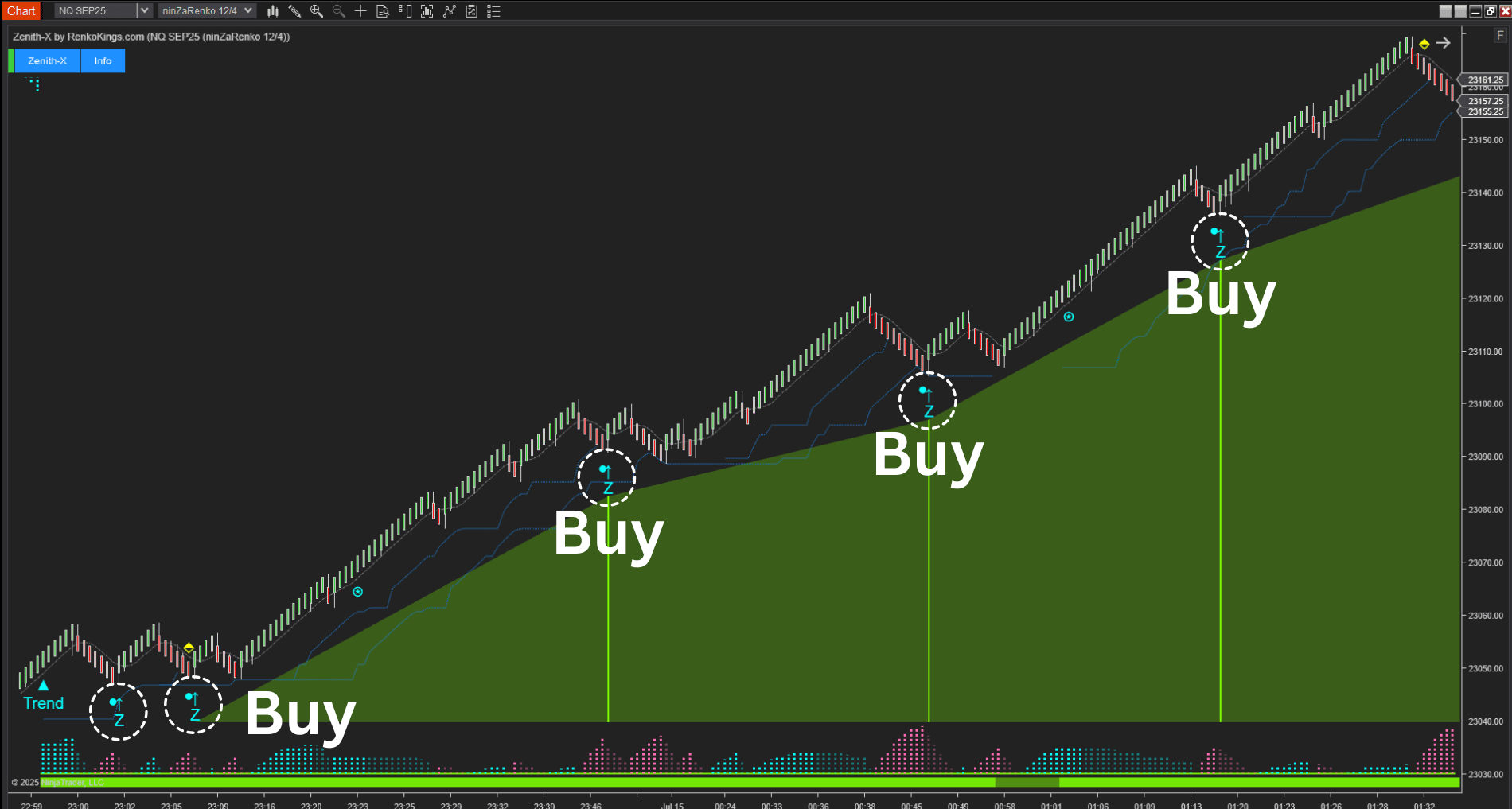 Momentum Strategy NT8