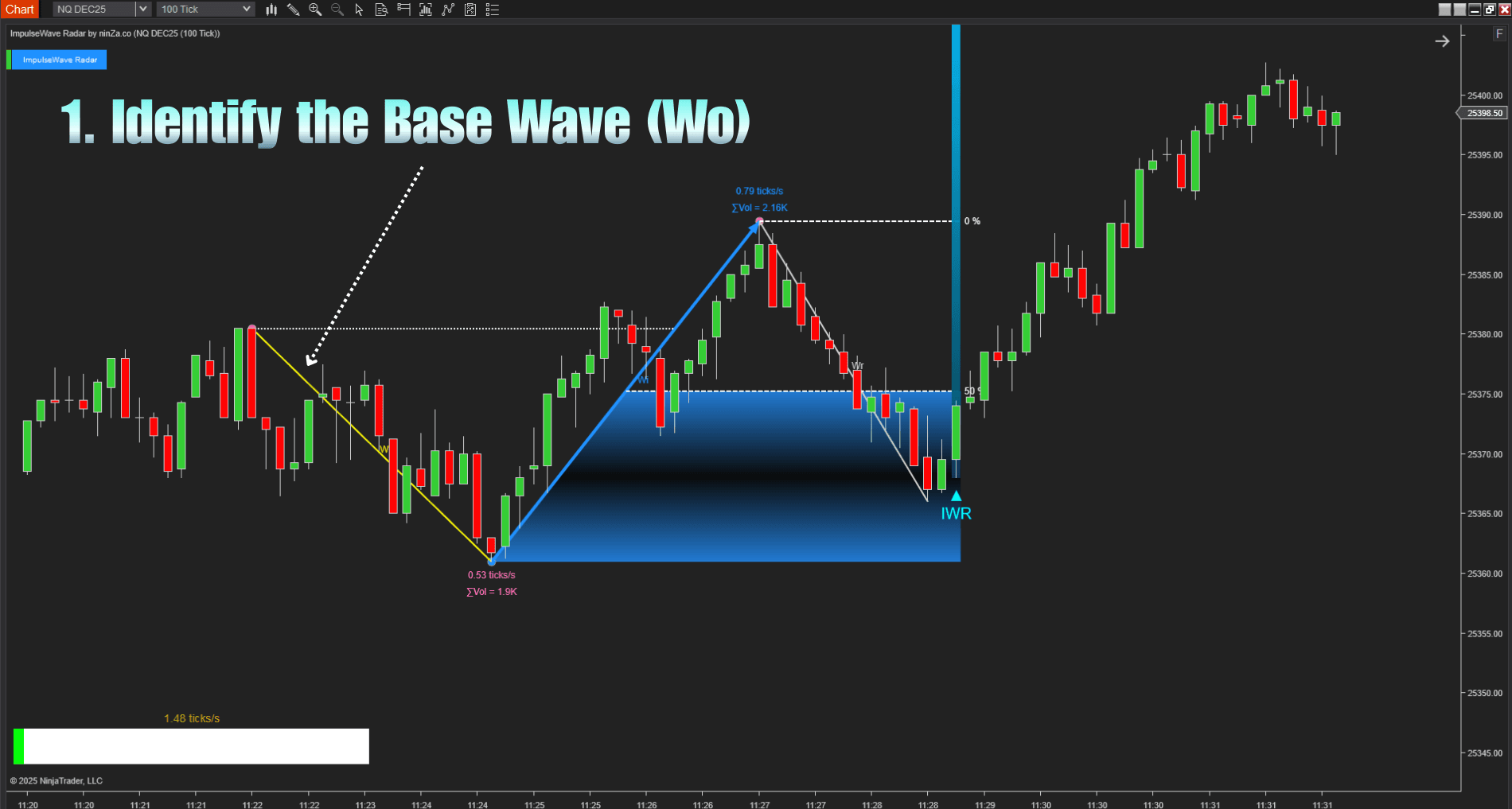 Elliott Wave Theory NT8