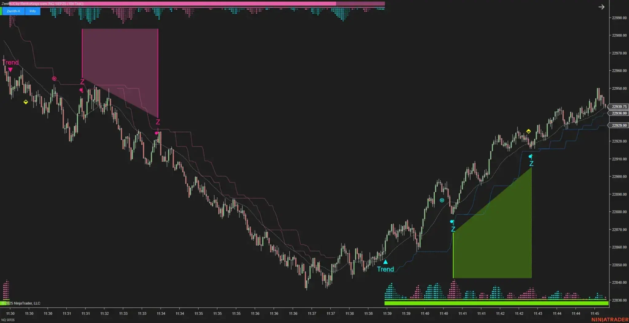 Momentum Strategy NT8