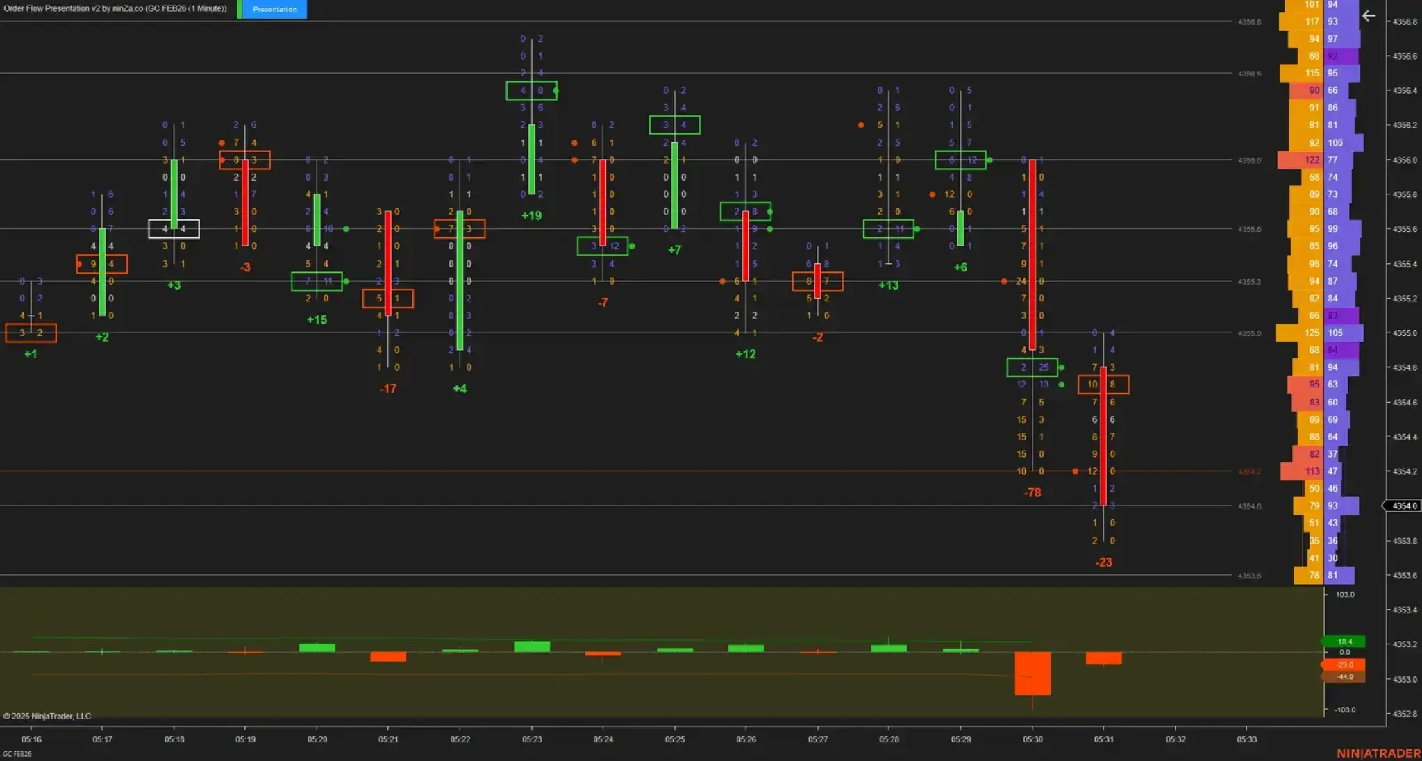 Order Flow Presentation v2 NT8
