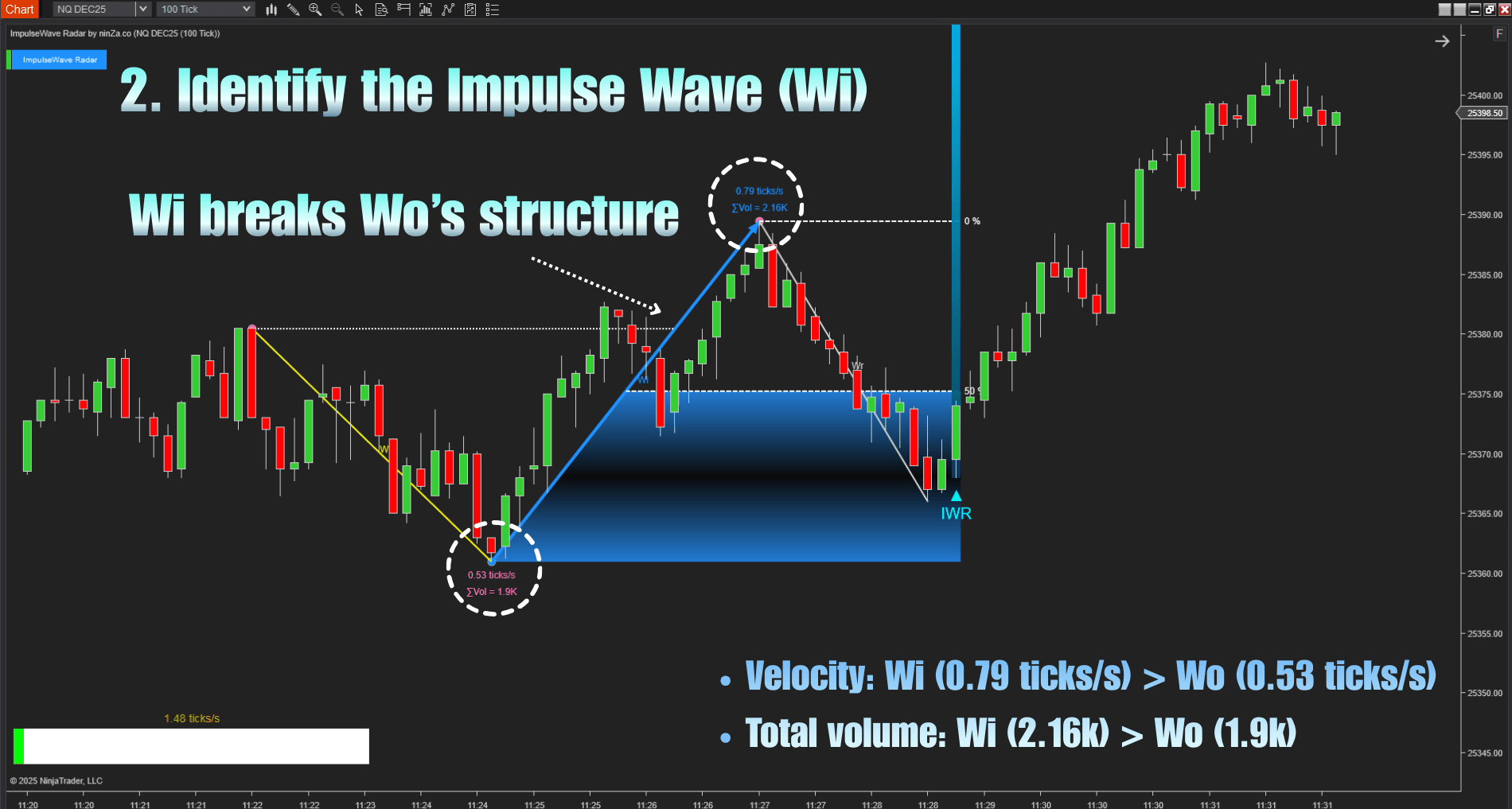 Elliott Wave Theory NT8