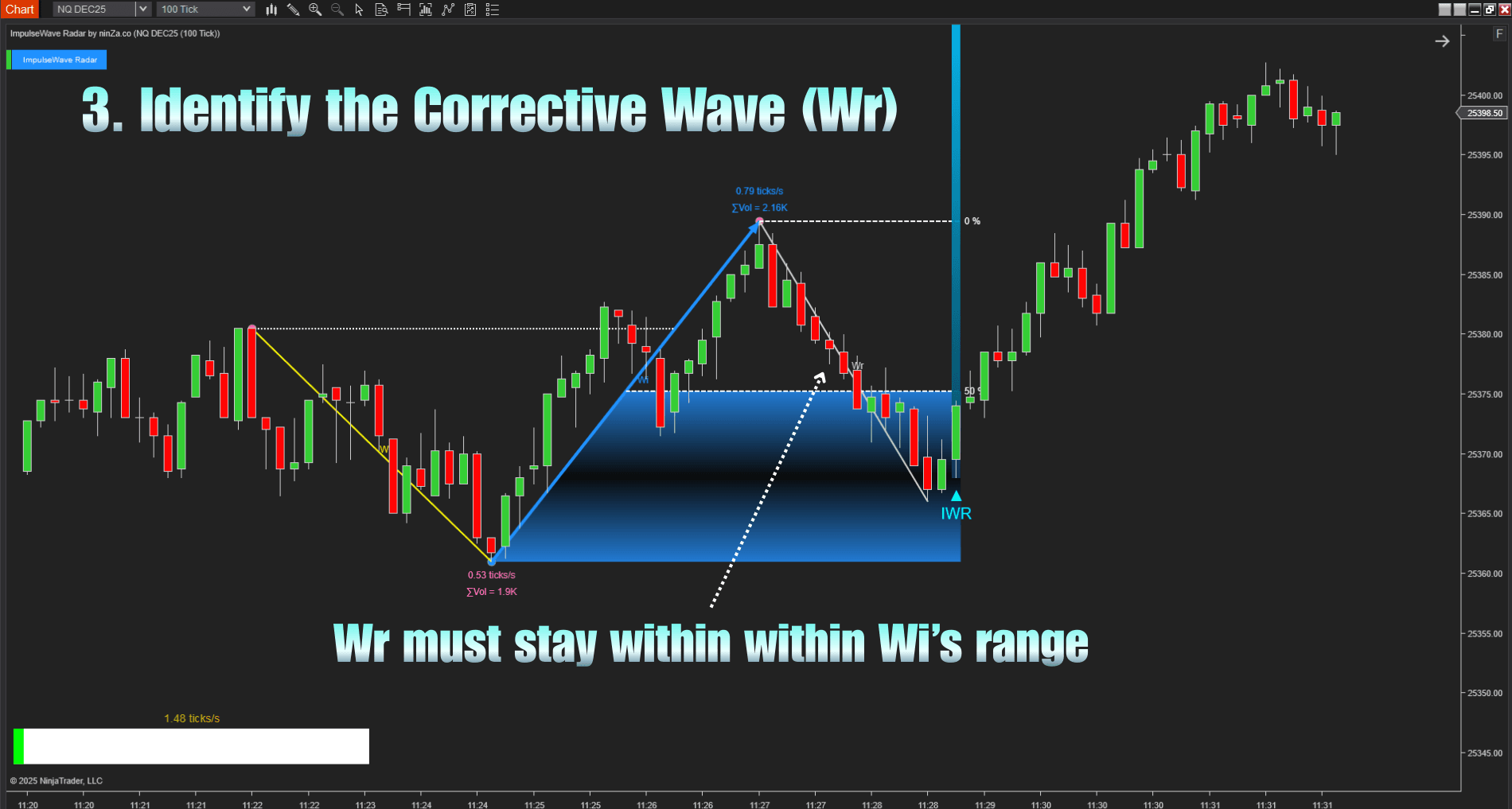 Elliott Wave Theory NT8