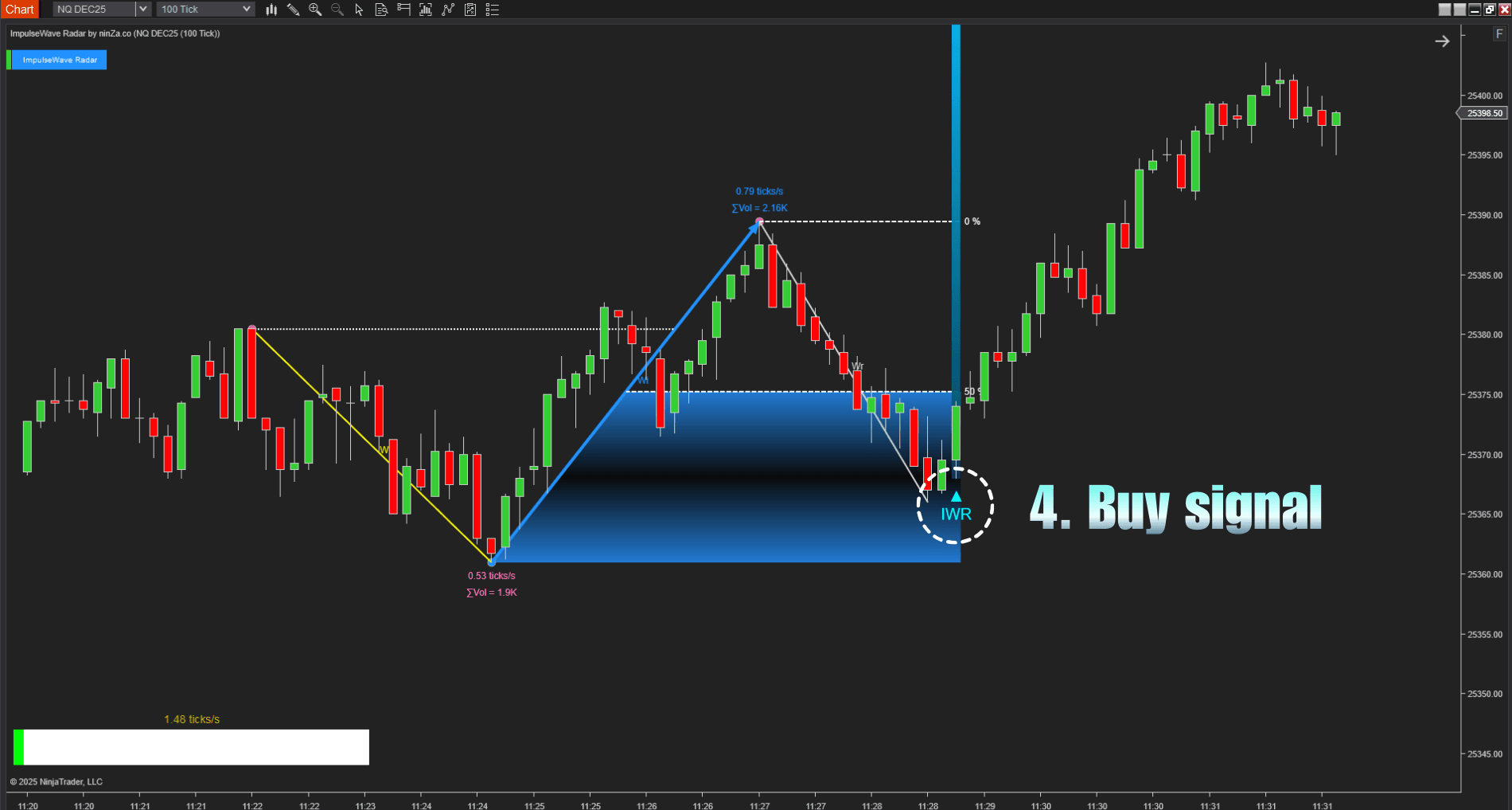 Elliott Wave Theory NT8