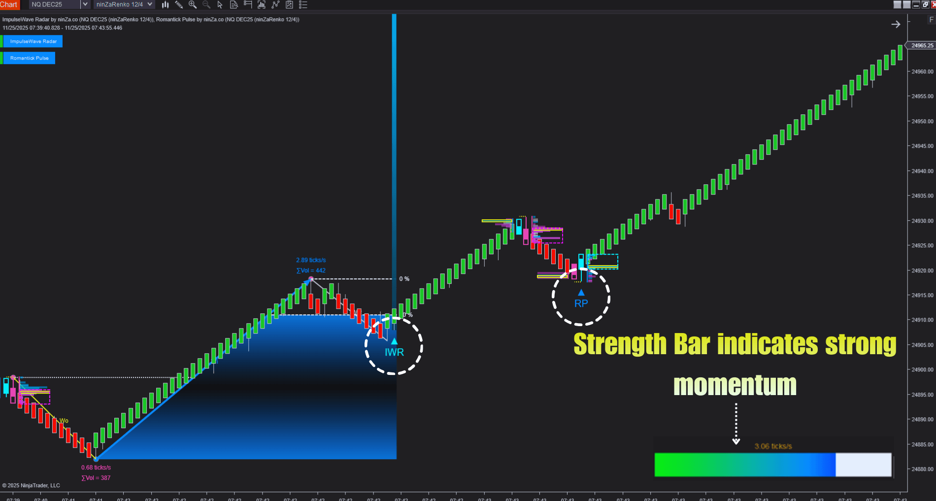 Elliott Wave Theory NT8