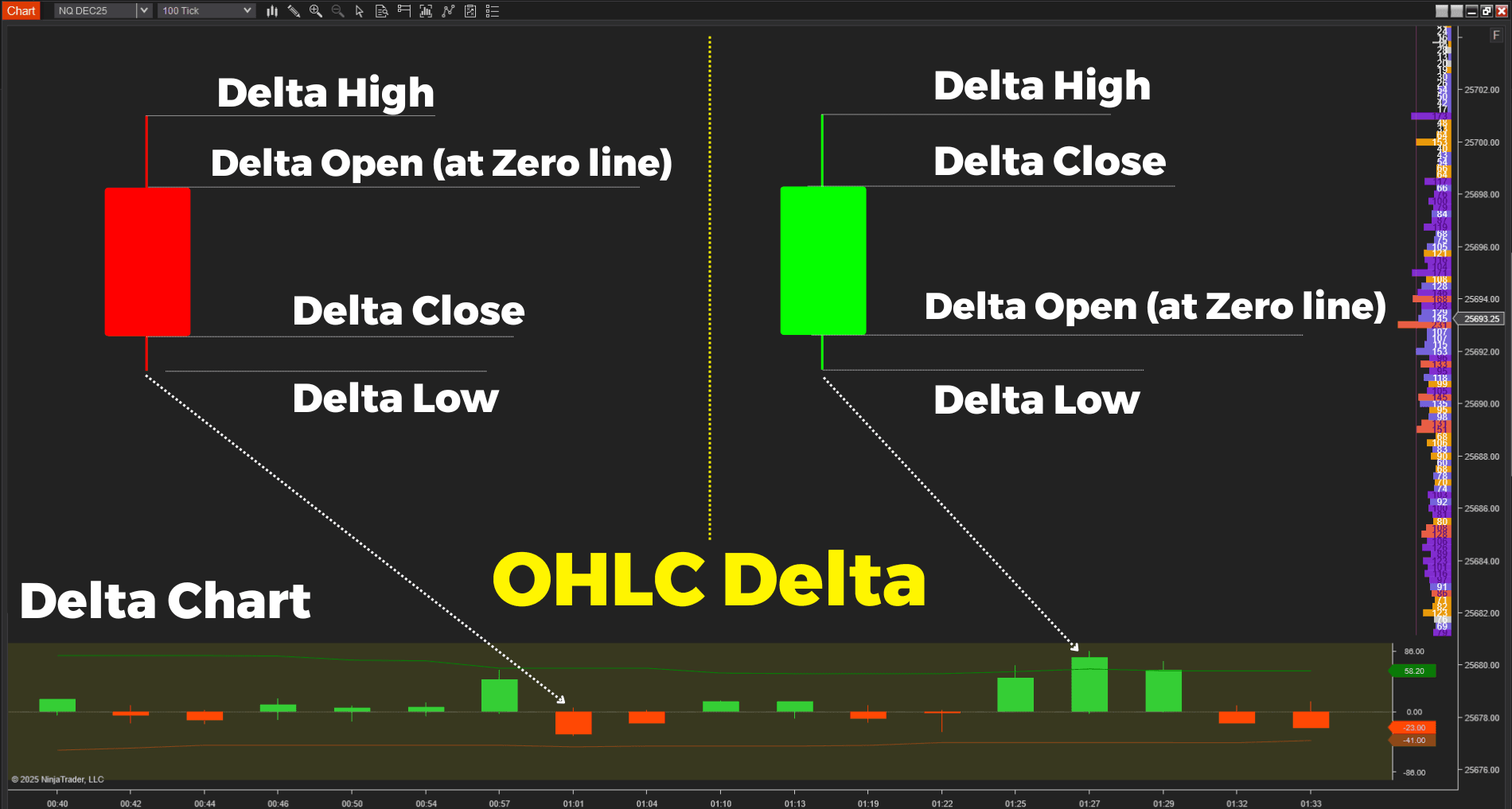 Order Flow Presentation v2 NT8