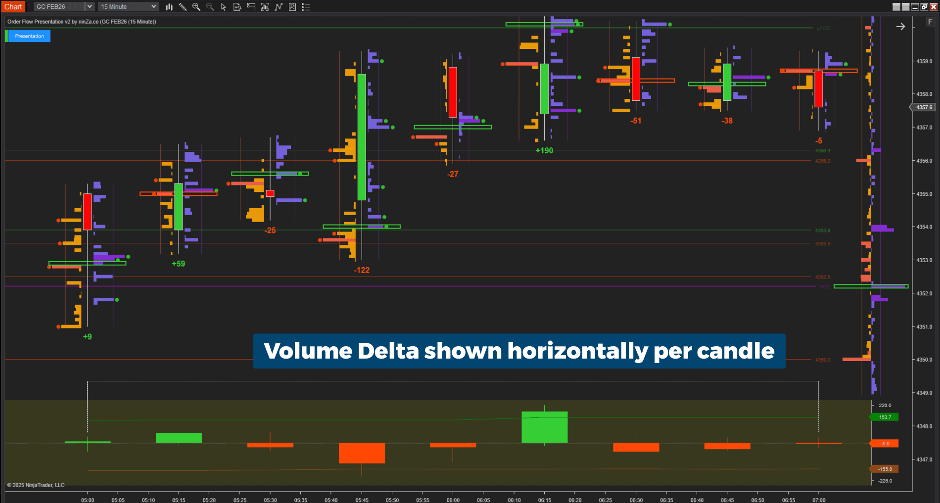 Order Flow Presentation v2 NT8