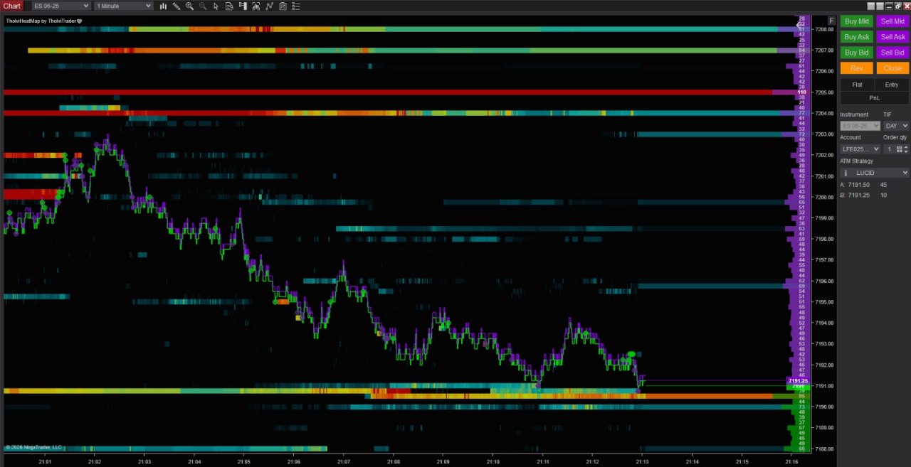 NT8 Heatmap and Footprint and Profiles