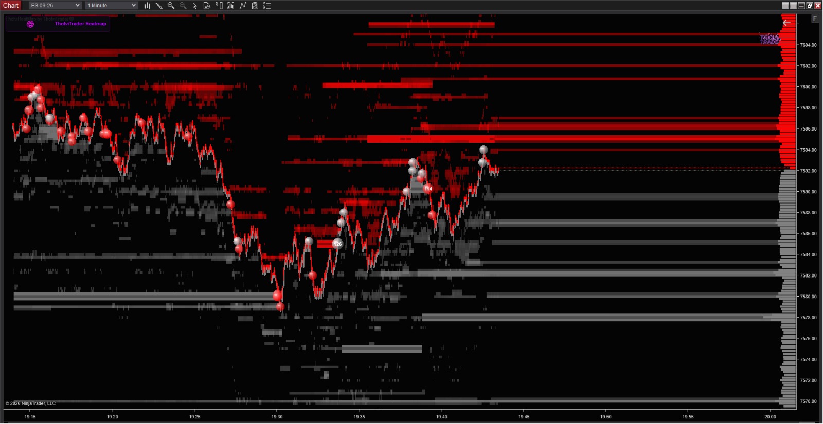 NT8 Heatmap and Footprint and Profiles