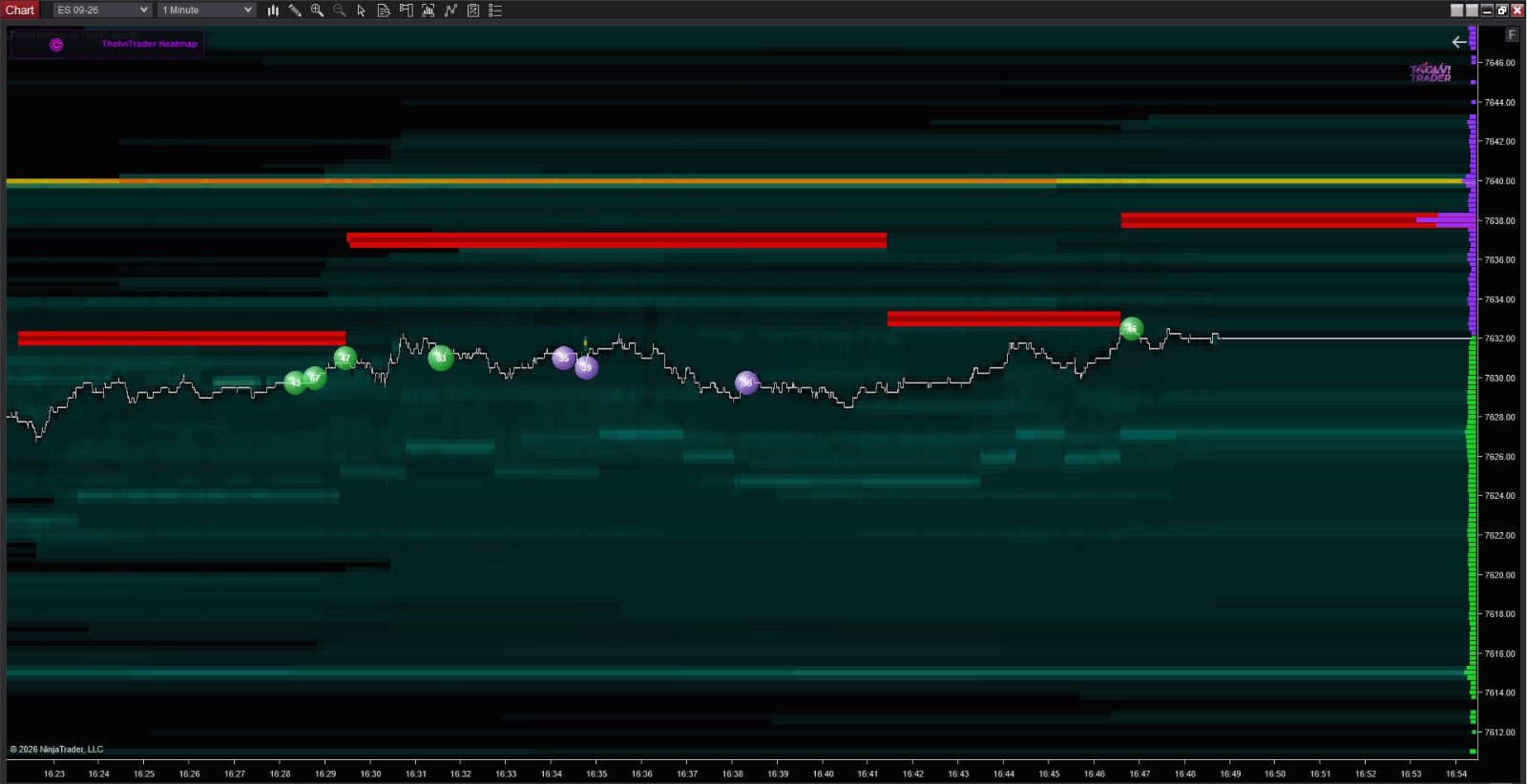 NT8 Heatmap and Footprint and Profiles